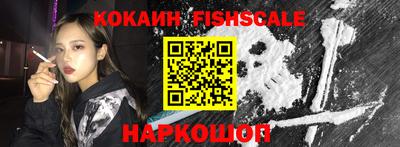 мет Кингисепп