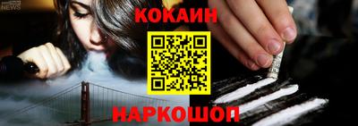 мет Кингисепп