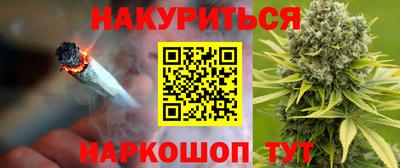 мет Кингисепп