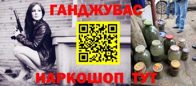 мет Кингисепп