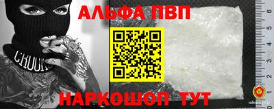 мет Кингисепп