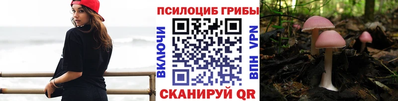 darknet официальный сайт  Чайковский  Галлюциногенные грибы GOLDEN TEACHER 