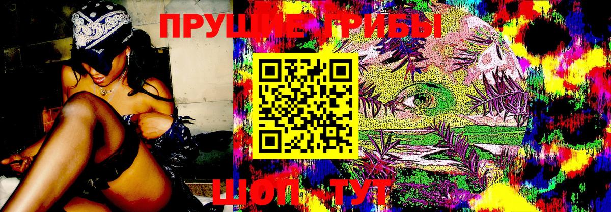 Галлюциногенные грибы Cubensis  Чайковский 